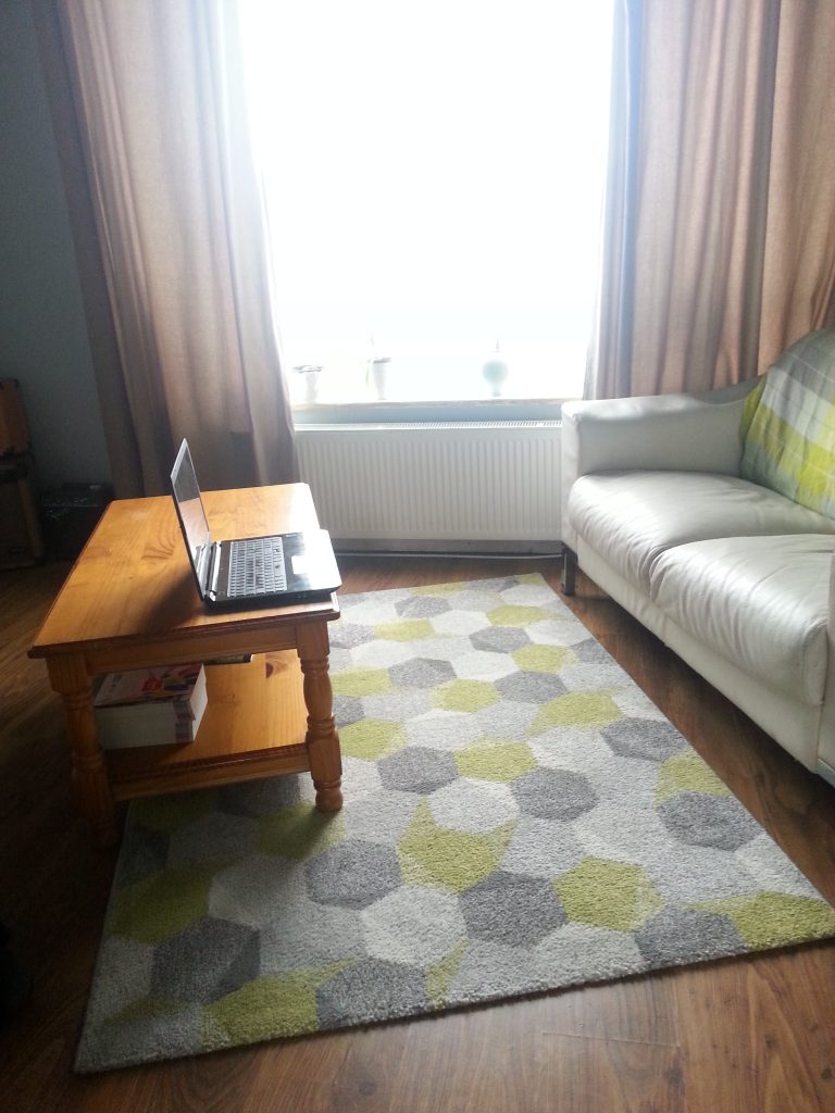 Living room with hexagonal patterned rug | how a fluffy cat saved me from the Diderot effect