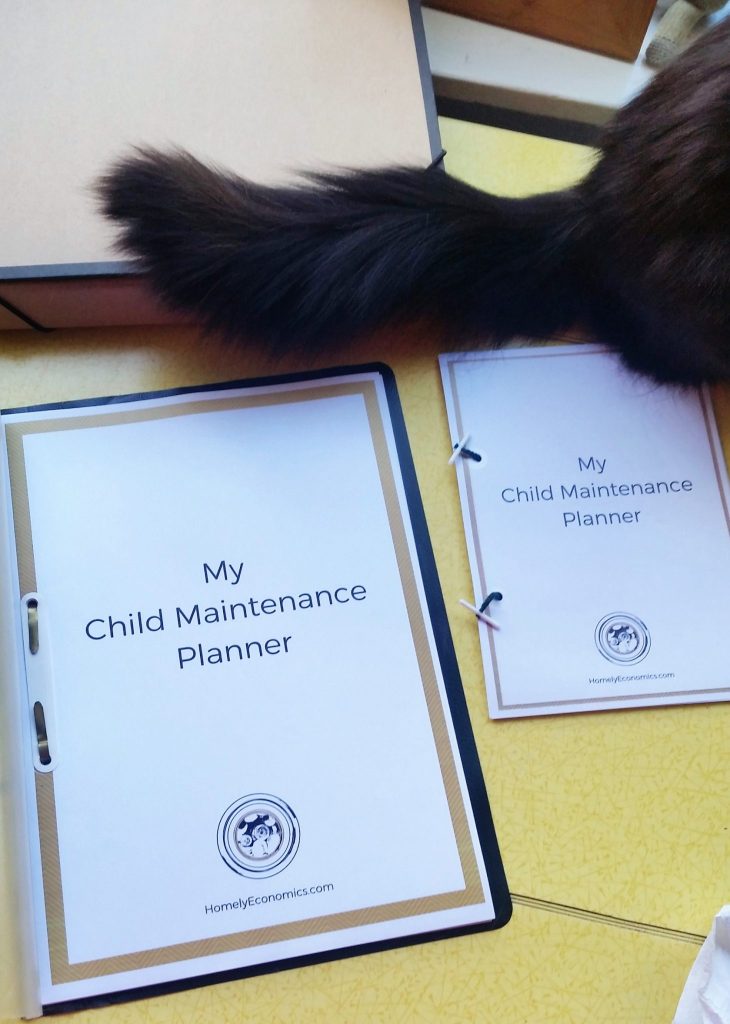 My cat is also keen on my new child maintenance planner printable. Download your copy!