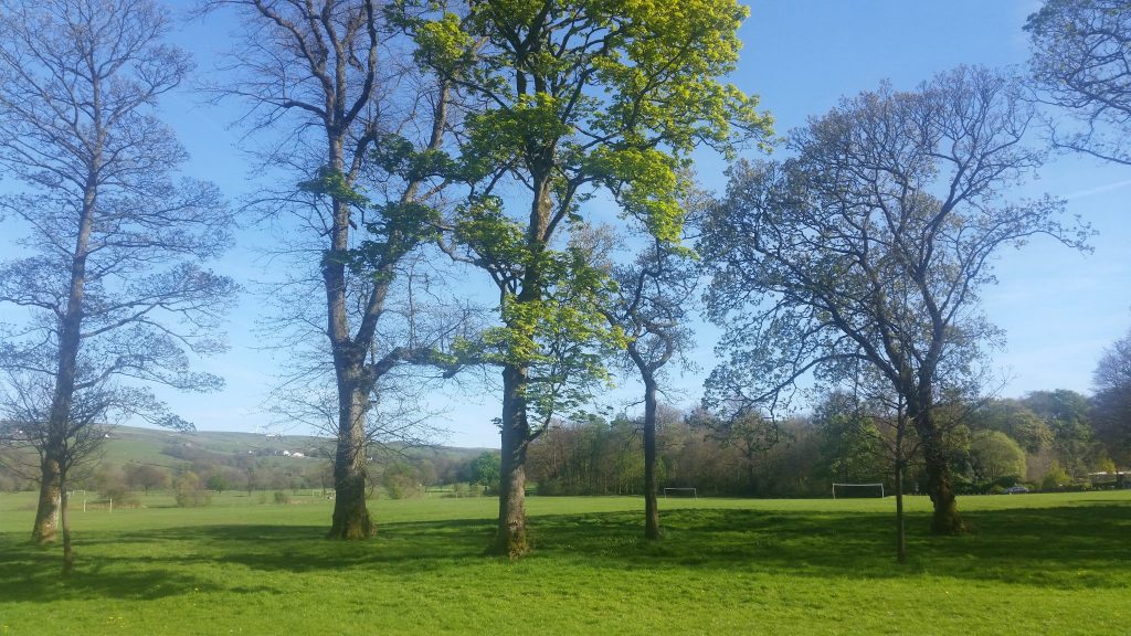 A fabulously frugal picnic at Towneley Park, Burnley.