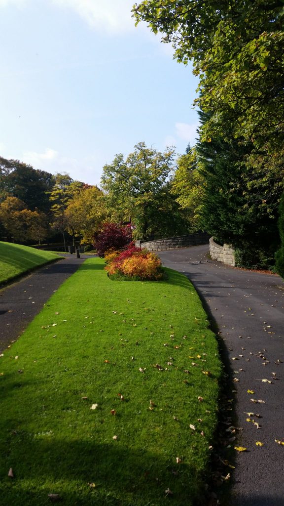 The last week was warm enough for us to enjoy a packed lunch in the park - maybe one of our last as the seasons change.