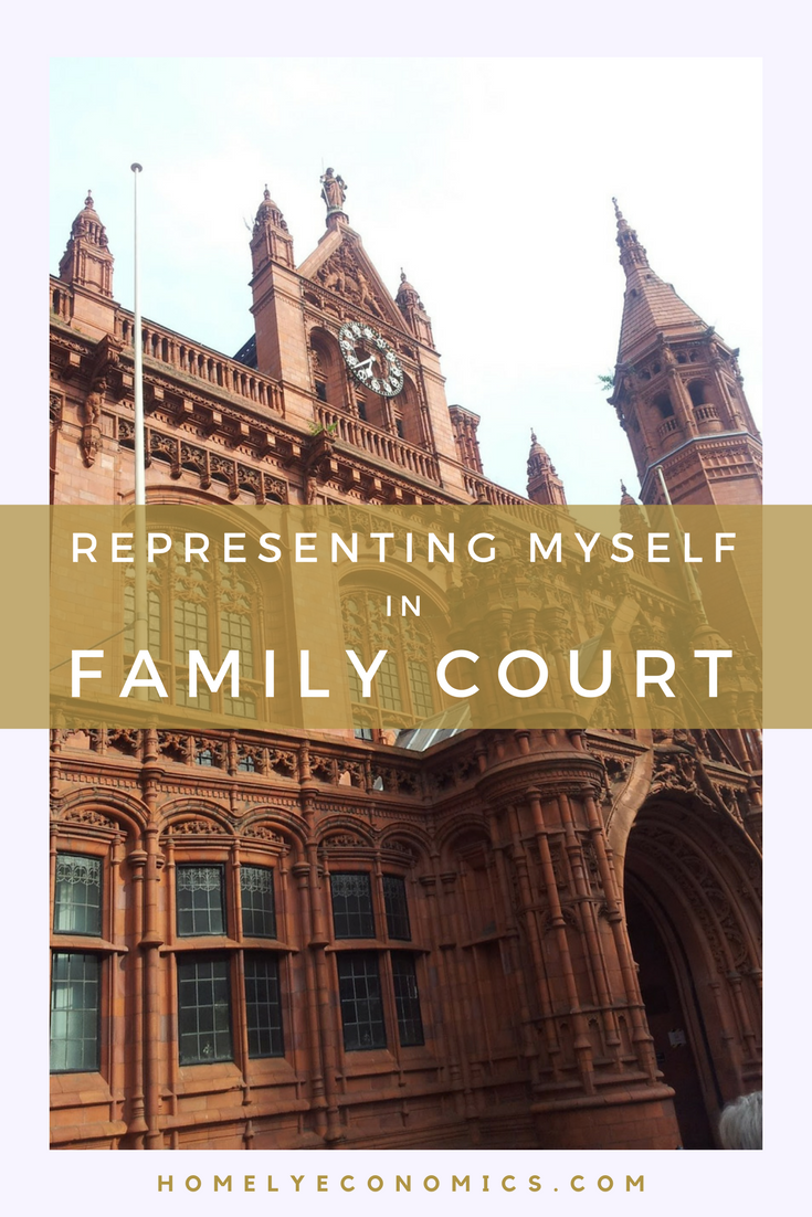 Representing Myself In Family Court: My Experience • Homely Economics
