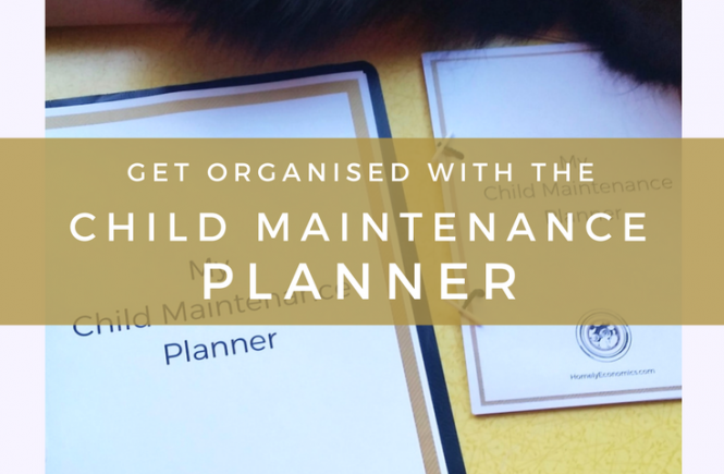Need help staying on top of the paperwork in your Child Support case? Click on the picture to download your free Child Maintenance planner and get help organising your CMS case.