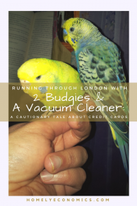 The story of a chaotic house move and how it left us running through London with two budgies in a cage and a vacuum cleaner.