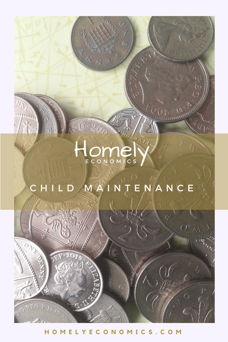 the-cms-child-maintenance-saga-homely-economics-children