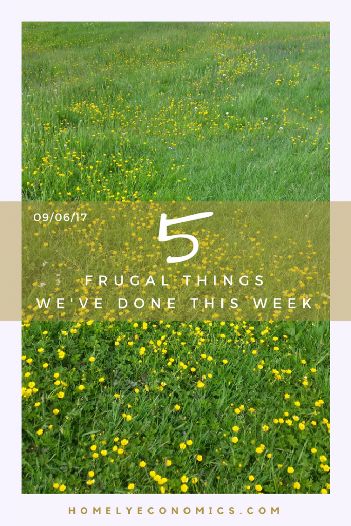 Five Frugal Things for the week - 8th June 2017.