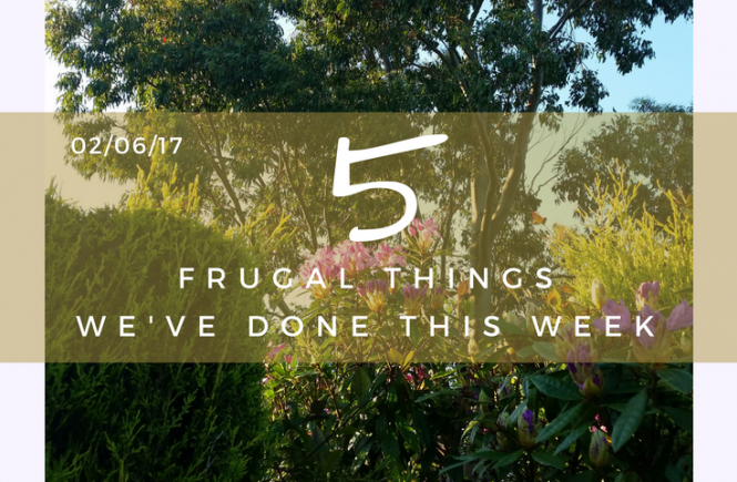 Here are five frugal things that we did over the last seven days. Click on the picture to read them all!