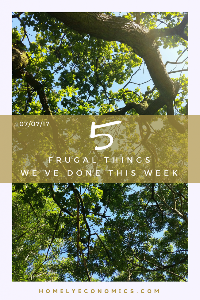 My pick of 5 frugal things we've done for the week - 7th July 2017.
