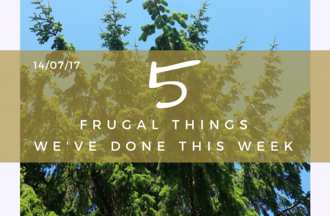 I had to think hard, but I came up with five frugal things we've done this week! - 14/07/17