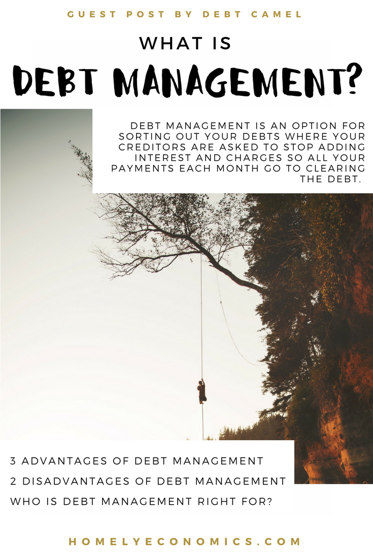 What is debt management? This guest post by Sara from Debt Camel looks at what debt management is and who it's for.