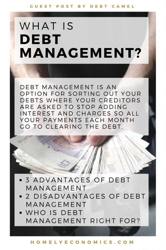 What Is Debt Management? • Homely Economics