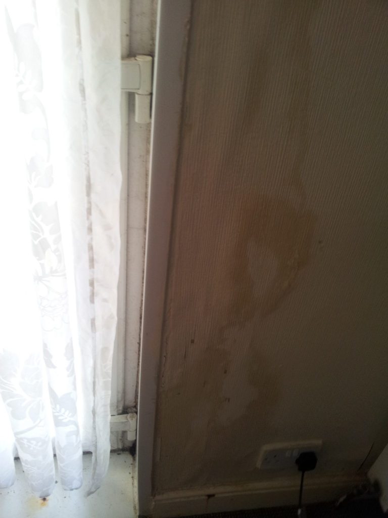 A damp wall in our rented home - our rental nightmare.