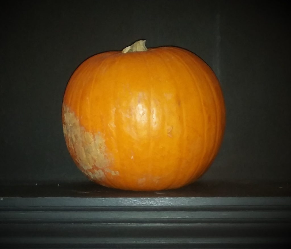 What to do with pumpkins?