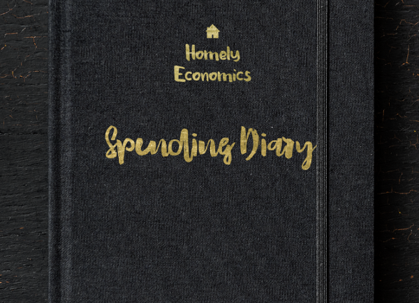 My spending diary - how much of my fun money I've spent during the month.