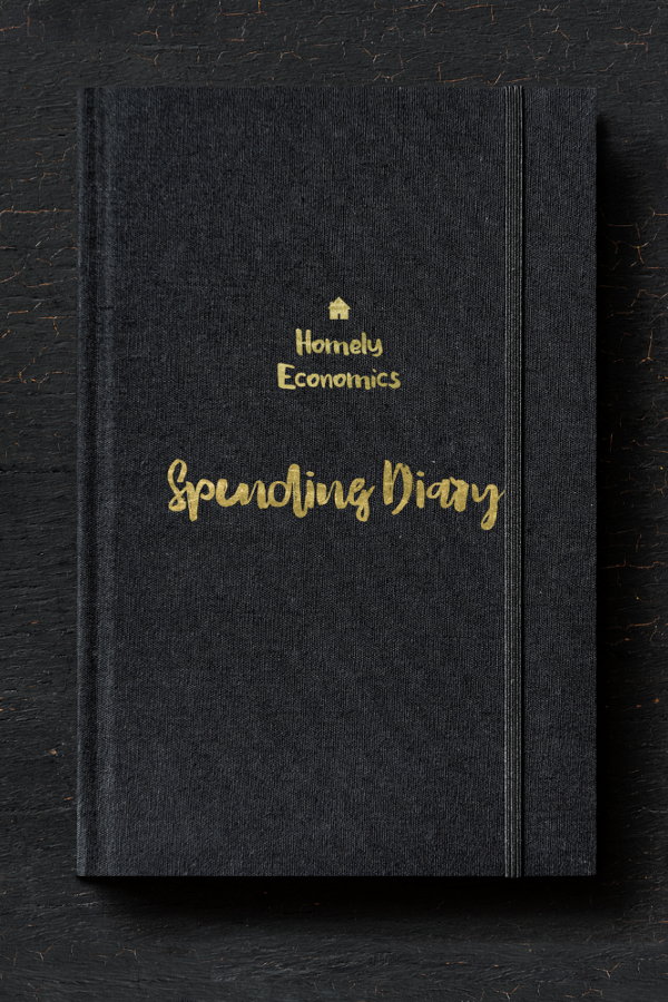 My spending diary - how much of my fun money I've spent during the month.