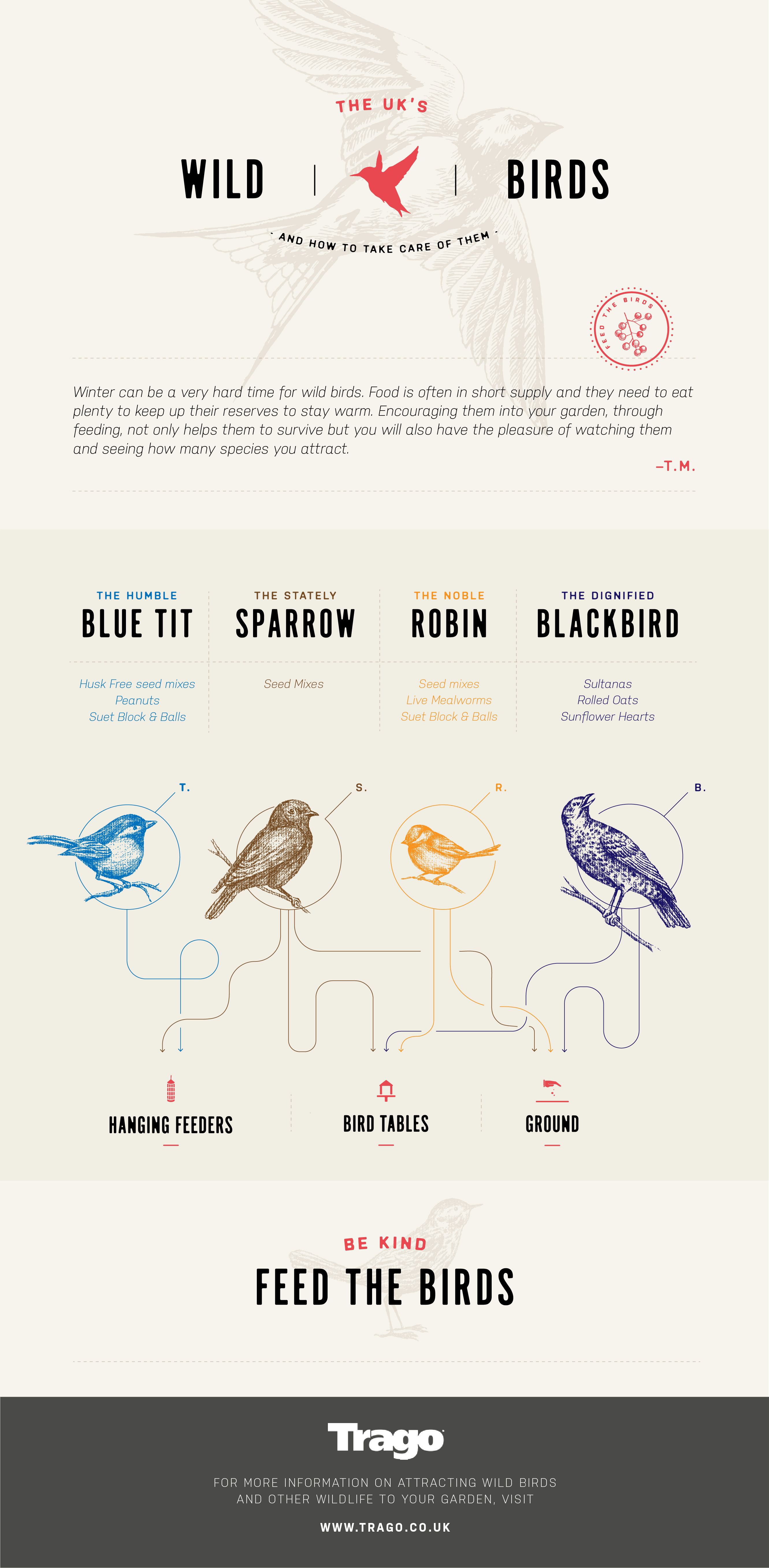 How to feed the wild birds in your garden. Blue tit | sparrow | robin | blackbird